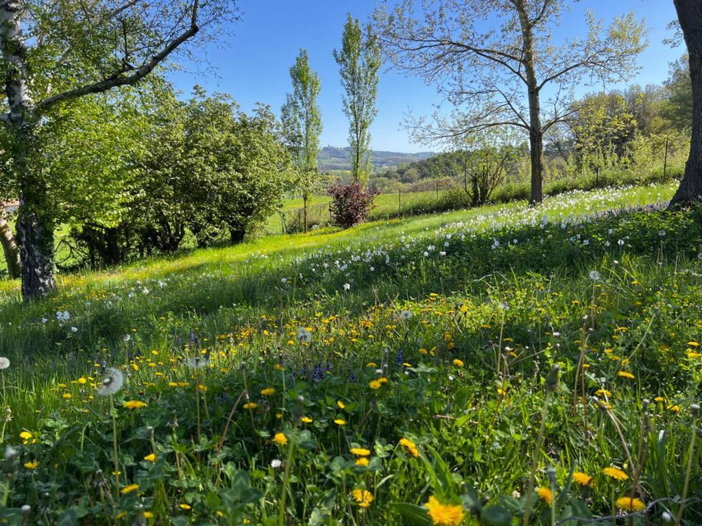 Montjustin Bergerie B&B 외부 사진
